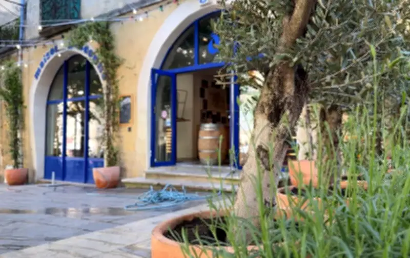 Bordeaux : un bar végétalise l'espace public contre le trafic de drogue