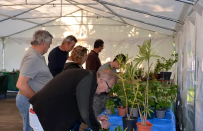Bourse aux plantes à Soubran : échanges et convivialité au printemps