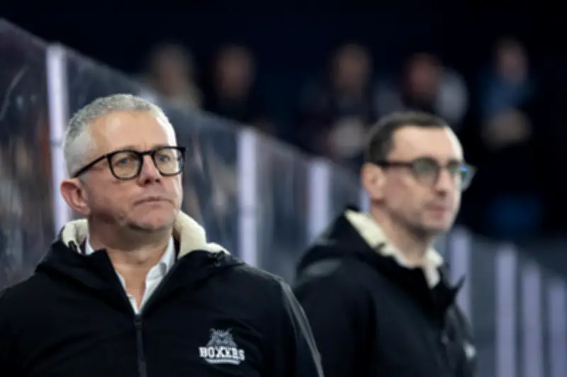 Boxers de Bordeaux : la quête du premier titre historique démarre à Grenoble