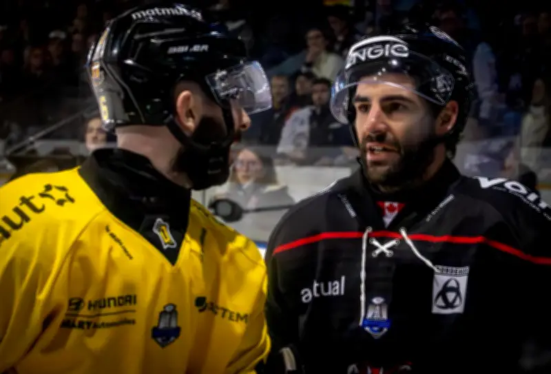 Boxers de Bordeaux : premiers départs avant la Ligue des Champions