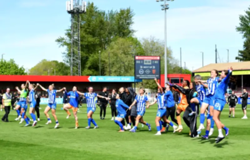 Brighton construira un stade dédié à son équipe féminine de football