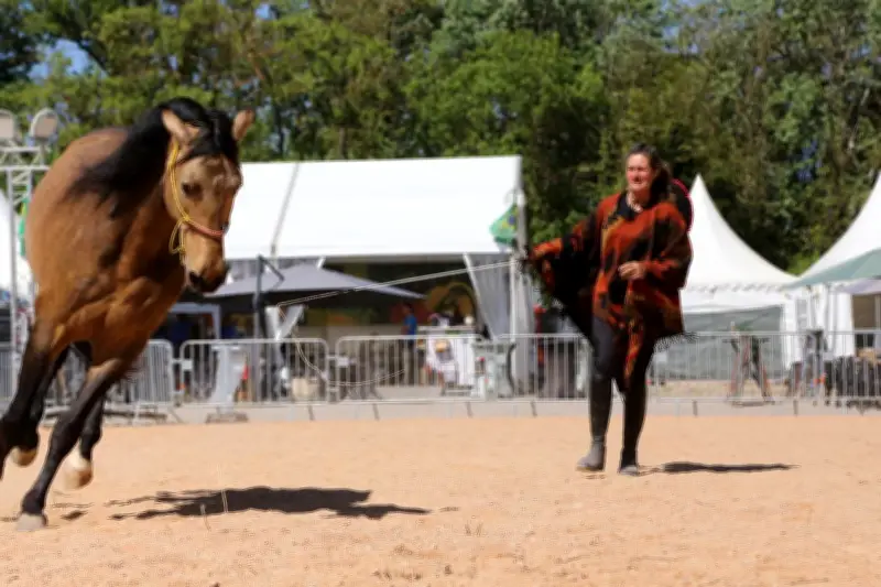 Brignoles : Le village cavalier enflamme la Foire avec des nocturnes équestres