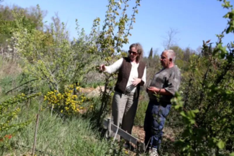 À Brignoles, Philippe Foi cultive un jardin-forêt inspiré de la permaculture