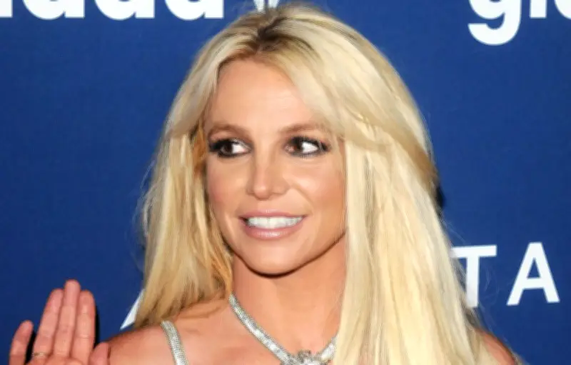 Britney Spears entre volontairement en centre de soins après son arrestation