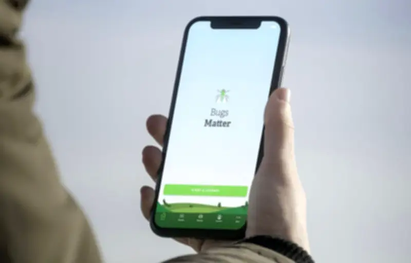 Bugs Matter : l'appli qui compte les insectes écrasés sur les plaques d'immatriculation