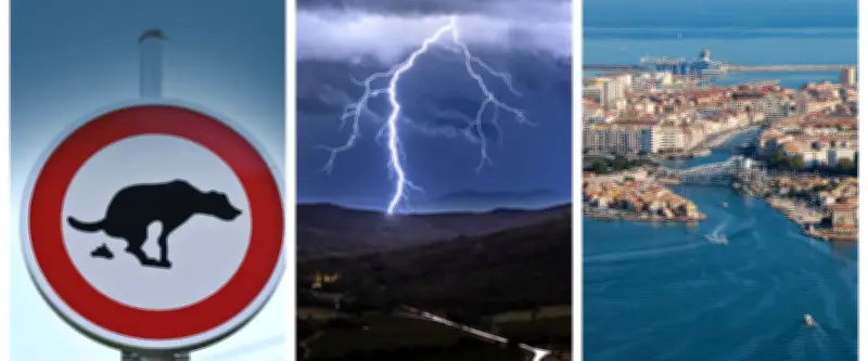 Béziers : amende pour crotte, orages dans l'Hérault, Sète menacée par le climat