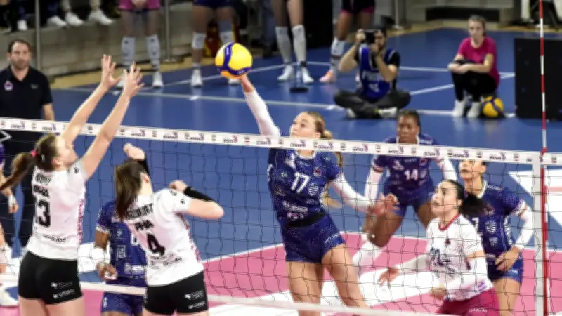 Béziers Angels éliminés en quarts : déjà tournés vers la saison prochaine