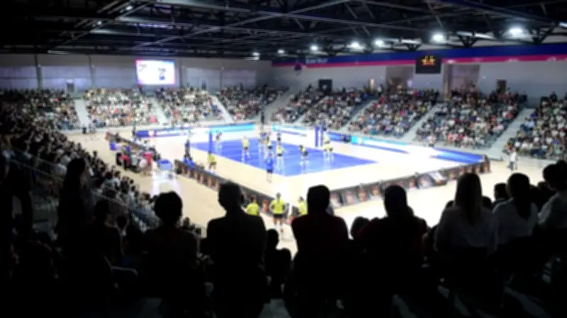 Béziers Volley : président et trésorier convoqués pour insultes et harcèlement