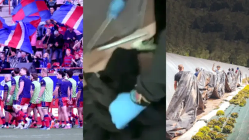 Cagnotte pour les rugbymen, enquête à Sète, géothermie dans le Gard