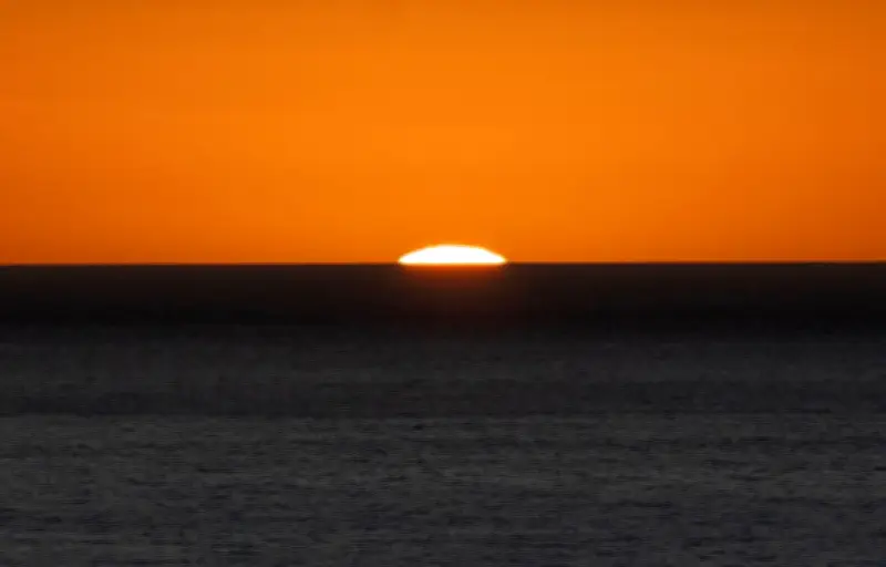 Californie : l'état d'urgence déclaré face à une invasion de moules dorées