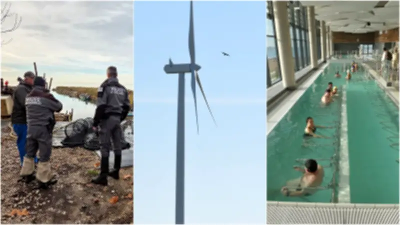 Camargue, éolien, thermalisme : l'actu régionale en bref