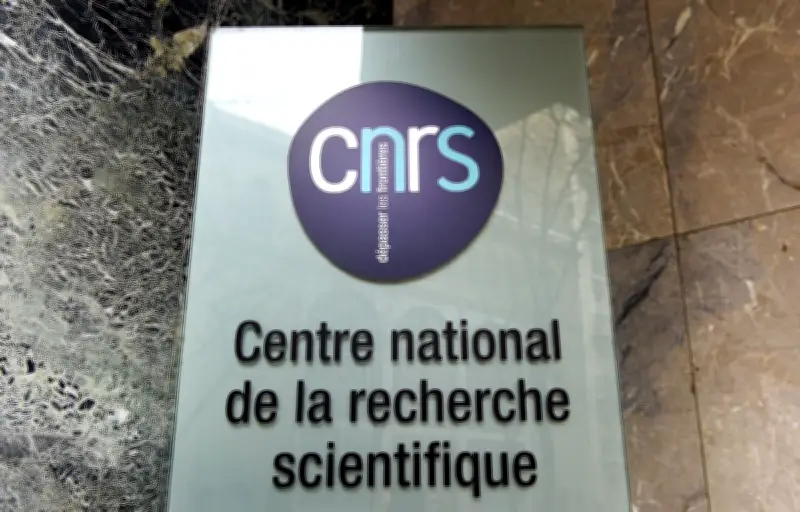 Cancer du pancréas : des avancées majeures après 40 ans de stagnation