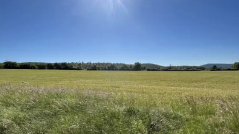 Canicule en Aveyron : records de chaleur avec 41,2°C à Monteils et Firmi