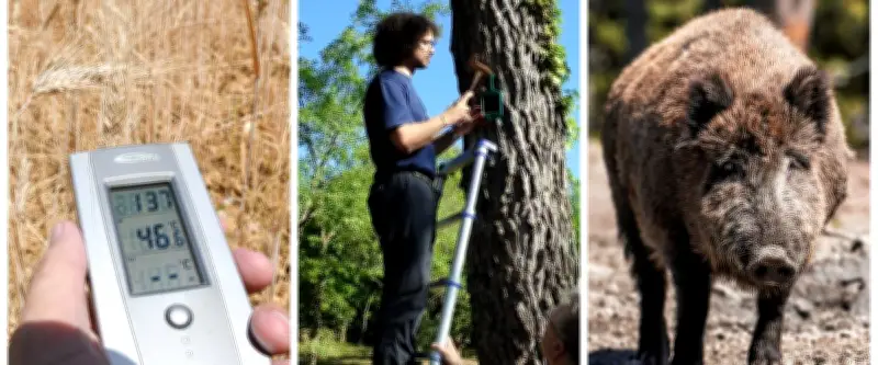 Canicule, Pont du Gard, sangliers, aéroport : l'actu région