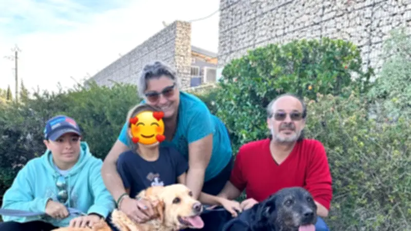Cannelle et Moustache : deux labradors adoptées ensemble à Noël