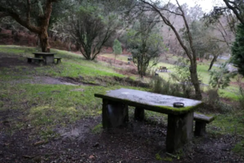 Capbreton : un couple interpellé pour l'assassinat d'un homme sur une aire de pique-nique