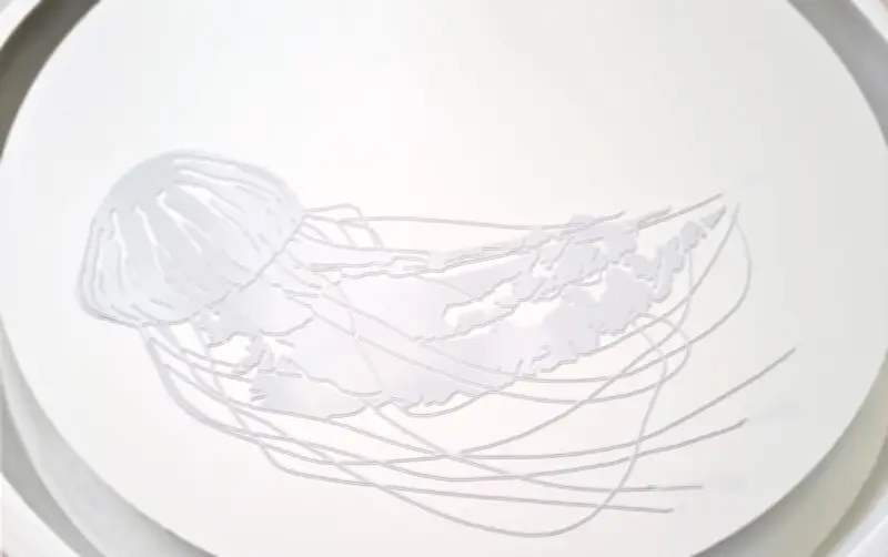 Carole Sionnet expose (In)visible : l'art au service de la préservation des océans