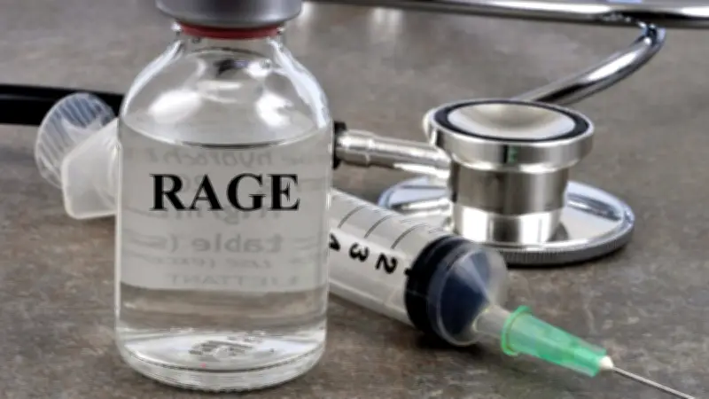 Cas mortel de rage en Occitanie : le point avec un infectiologue