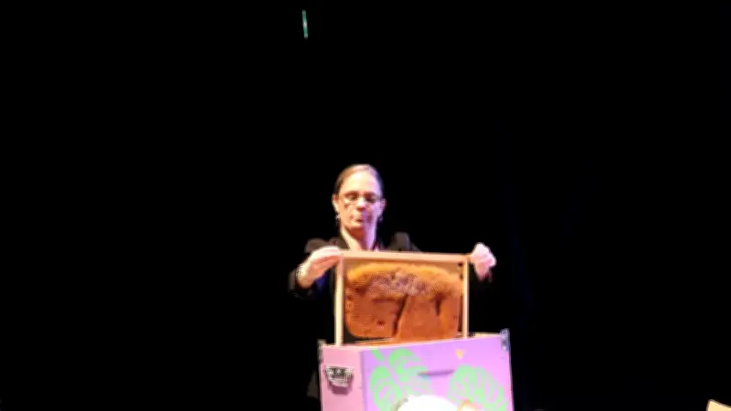 Cassagnoles célèbre la 16e Journée de l’abeille avec spectacle et balade