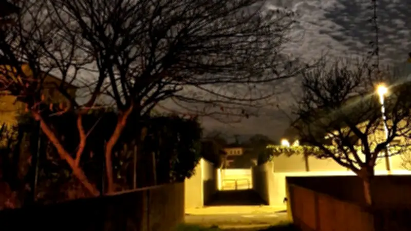 « Ce qu’il reste des vagues » : une installation immersive au musée Henri-Prades