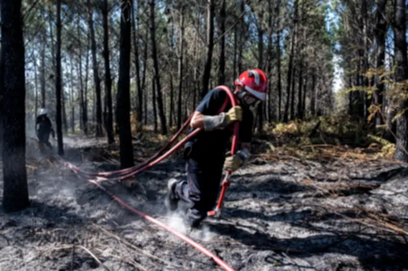 Charente-Maritime : des caméras remplacent les guetteurs pour détecter les feux de forêt