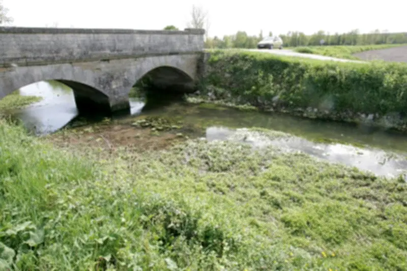 Charente-Maritime : niveau d'alerte eau instauré sur le bassin Aume-Couture