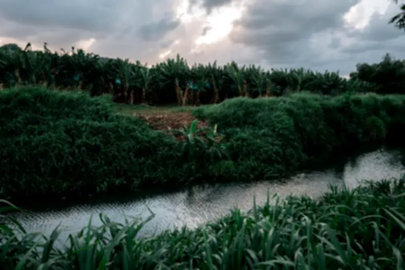 Charte sociale européenne enfin appliquée aux outre-mer : la France a délibérément nié les droits fondamentaux de ces citoyens