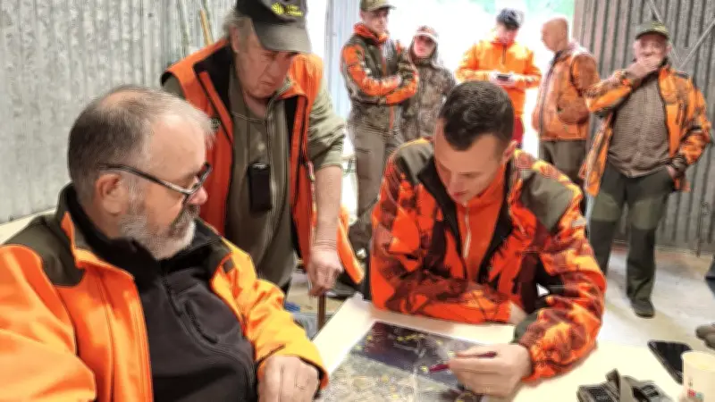 Chasse au sanglier dans l'Hérault : un bilan positif mais des comportements préoccupants
