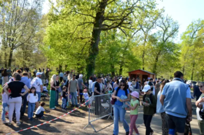 Chasse aux œufs de Pâques : plus de 250 enfants envahissent le parc du château