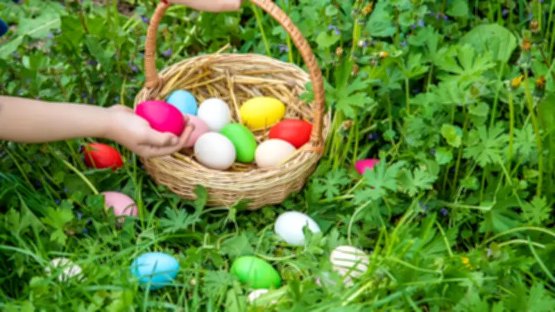 Chasse aux œufs mortelle en Allemagne : un arbre s'effondre, trois victimes dont un bébé