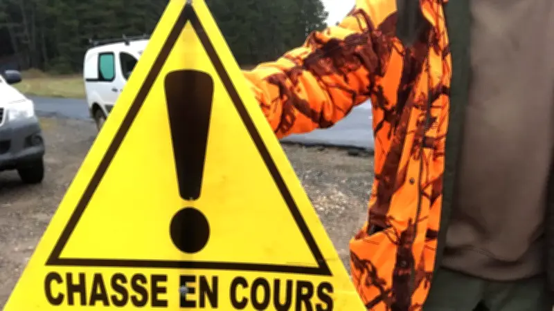 Chasse en Occitanie : moins de chasseurs mais toujours plus de sangliers
