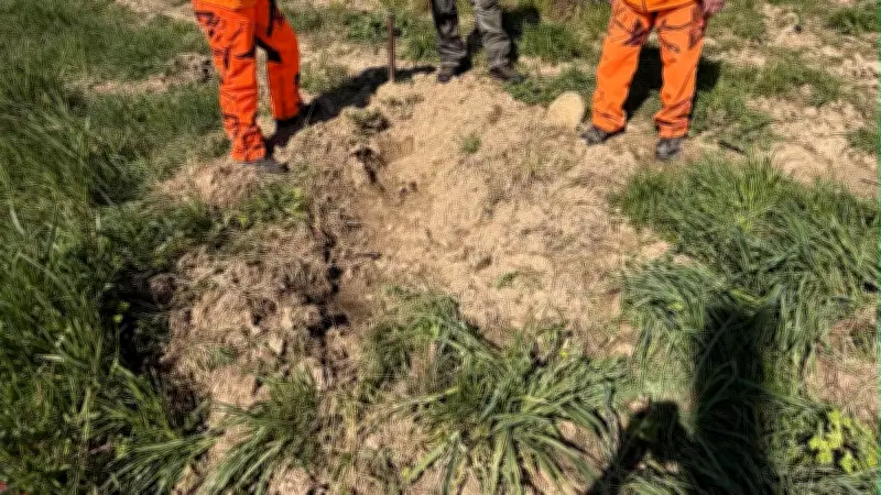 Chasse et agriculture unies contre la prolifération des sangliers dans le Gard