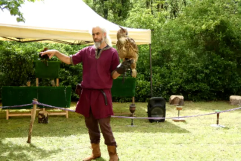 Châteaux en fête : rapaces et animations médiévales à Saint-Pierre-de-Côle