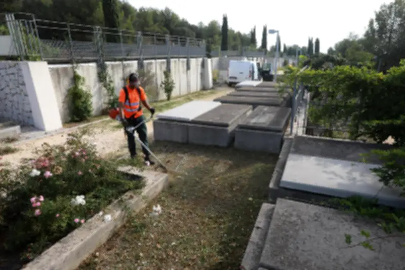 Cimetière fantôme de La Seyne : 1,5 million d'euros investis pour rien