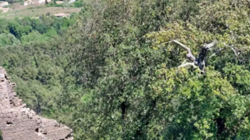 Cinq nouveaux Compagnons du devoir intronisés au château de Montalet