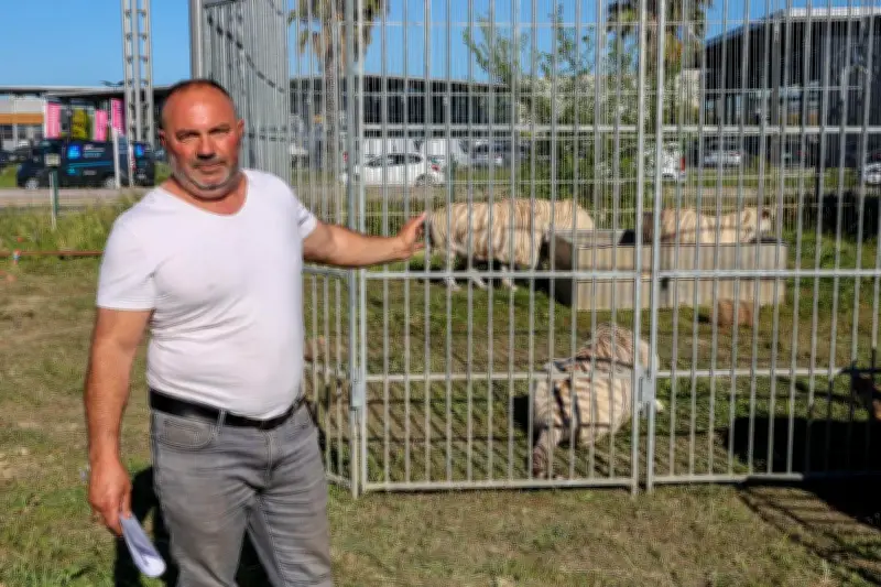 Cirque franco-belge : après l'interdiction à Fréjus, installation à Roquebrune-sur-Argens