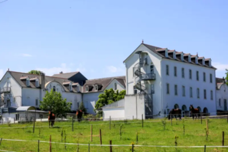 Classement des lycées 2026 : le cas du lycée Saint-Joseph de Nay jugé « sélectif »