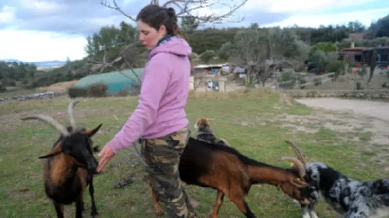 Clermont-l'Hérault : Conflit agricole sur les pâturages de la Ramasse, une ferme caprine mobilise