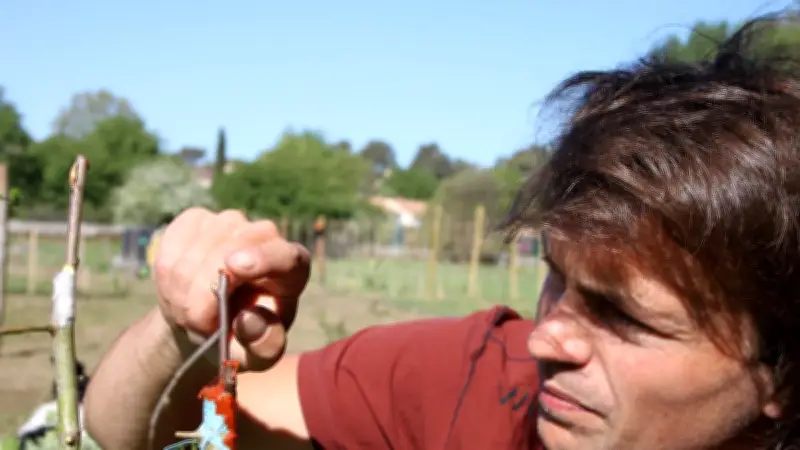 Clément Chapel sème la biodiversité fruitière lors d'un périple de 1 000 km