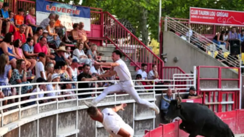 Club taurin Lou Gregau : saison 2026 lancée avec trophées Espoir