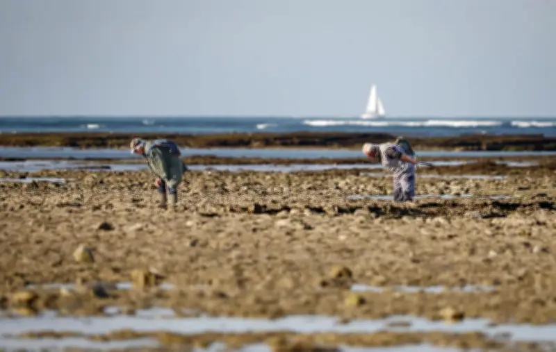 Coefficients de marée exceptionnels ce week-end : prudence pour la pêche à pied