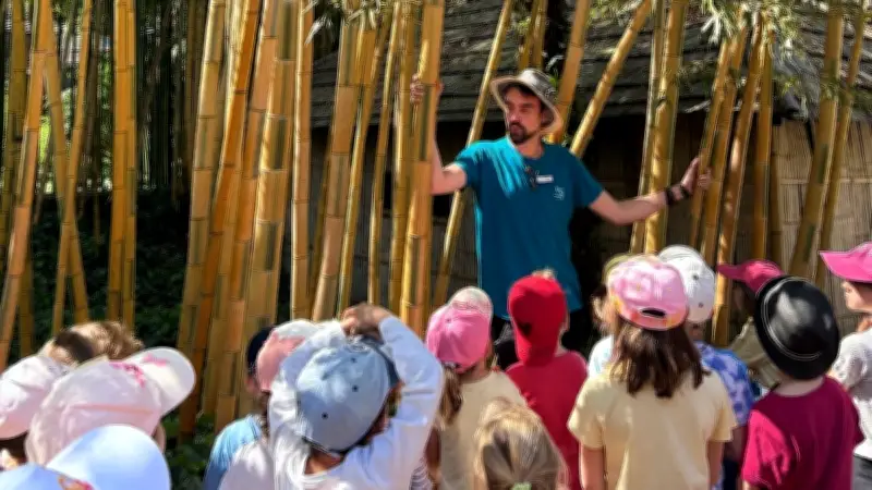 Écoliers en voyage découverte dans les Cévennes