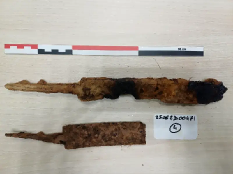 Collectionneur bayonnais évite les poursuites mais paie une amende douanière