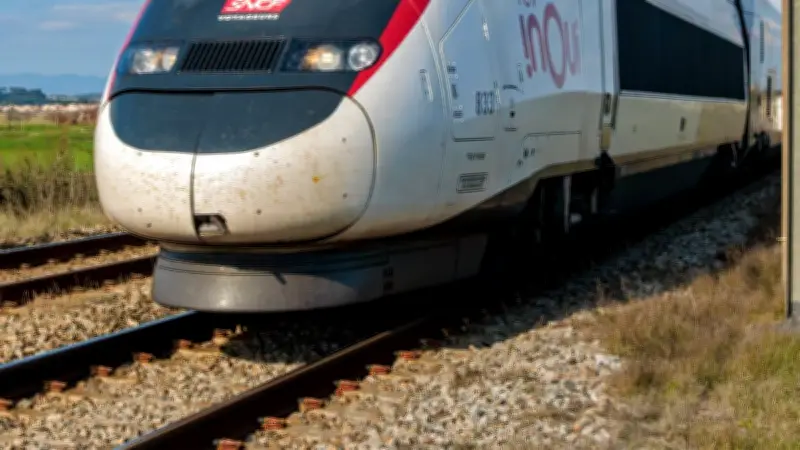Collision TGV-poids lourd : le chauffeur mis en examen pour homicide routier