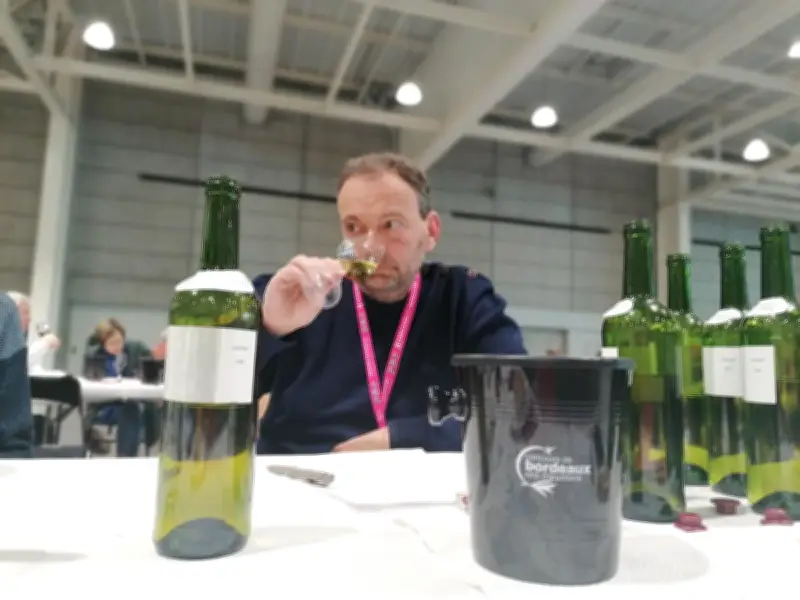 Concours de Bordeaux : 573 vins médaillés pour la 70e édition