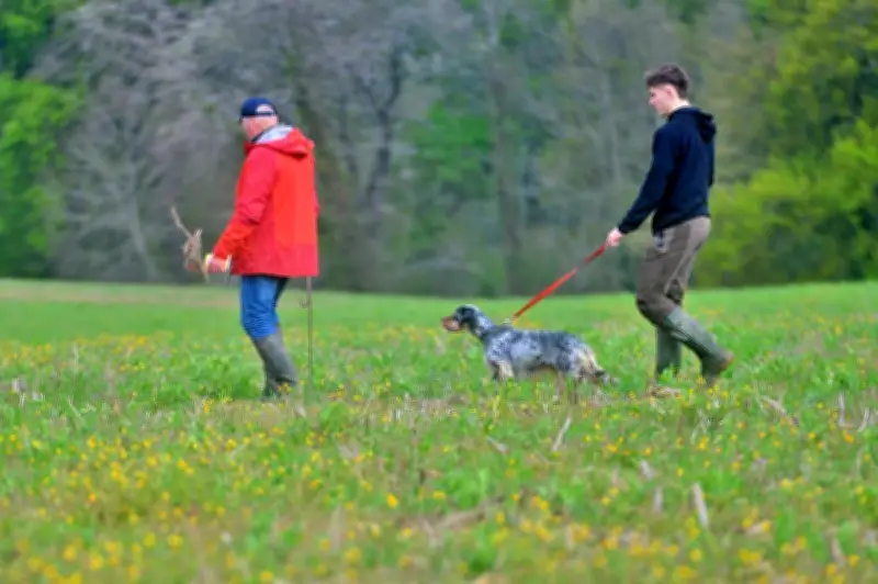 Concours de chiens d'arrêt à Serreslous-et-Arribans : une tradition cynégétique renouvelée