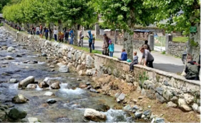 Concours de pêche jeunesse à Bielle : l'AAPPMA organise son événement annuel le 9 mai