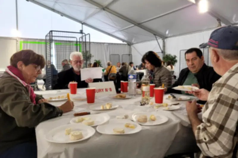 Concours des fromages à Brignoles : 24 médailles décernées après une dégustation experte