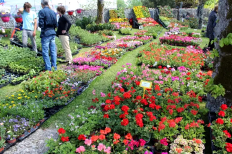 Concours du plus beau jardin fleuri à La Chapelle-Gonaguet