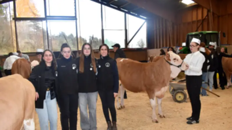 Concours Jeunes Meneurs : des étudiants lozériens valorisent l'élevage et la conduite animale